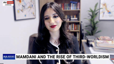 esearch Fellow Zineb Riboua describes what the term Third-Worldism means and how it’s impacting societies on Sky News