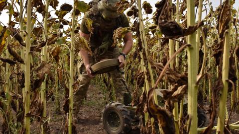 A Ukrainian serviceman of 65th Separate Mechanised brigade loads a robotic minelaying ground platform with land mines during a military training. Ukrainian military now has access to a wide range of robotic ground platforms, each with various features and purposes, which have been actively deployed on the battlefield for several months. Notably, "minelaying robots" have become increasingly widespread. These reusable platforms are designed to deploy mines targeting enemy personnel or military equipment. Over