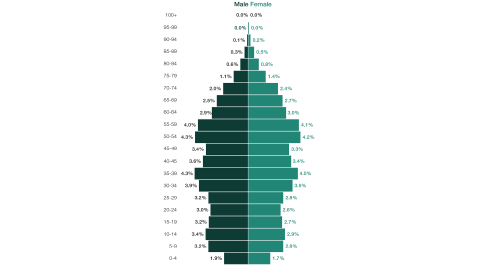 Source: “Population Pyramids of the World from 1950 to 2100: China,” Population Pyramid, 2024, https://www.populationpyramid.net/china/2024/.