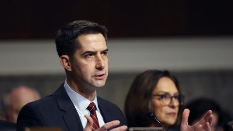 Senator Tom Cotton (R-AR) in a hearing on Capitol Hill on January 14, 2025, in Washington, DC. (Photo by Anna Moneymaker/Getty Images)