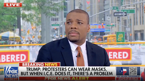 (Screenshot via Fox News)